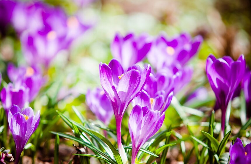 Бодрость духа и цвета 2 фото