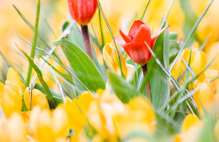 Бодрость духа и цвета 7 фото