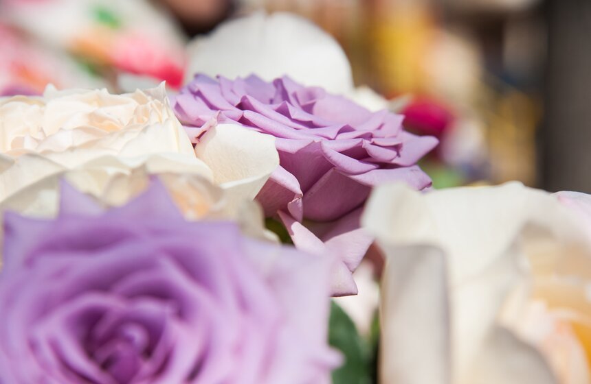 На Патриарших прудах прошел "МедиаСубботник" в виде квеста 10 фото