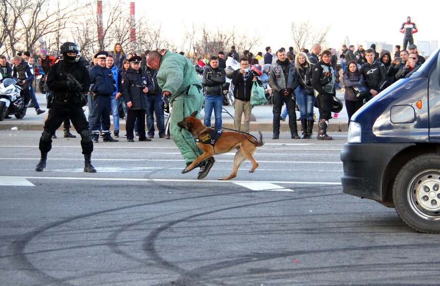 Столичные байкеры открыли новый мотосезон 17 фото