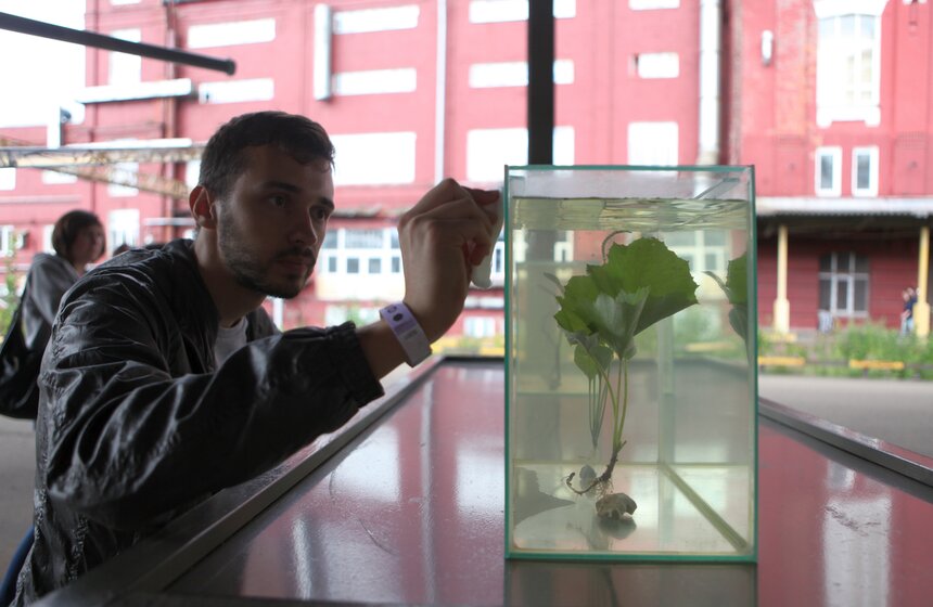 На заводе "Кристалл" состоялся фестиваль современного искусства 14 фото