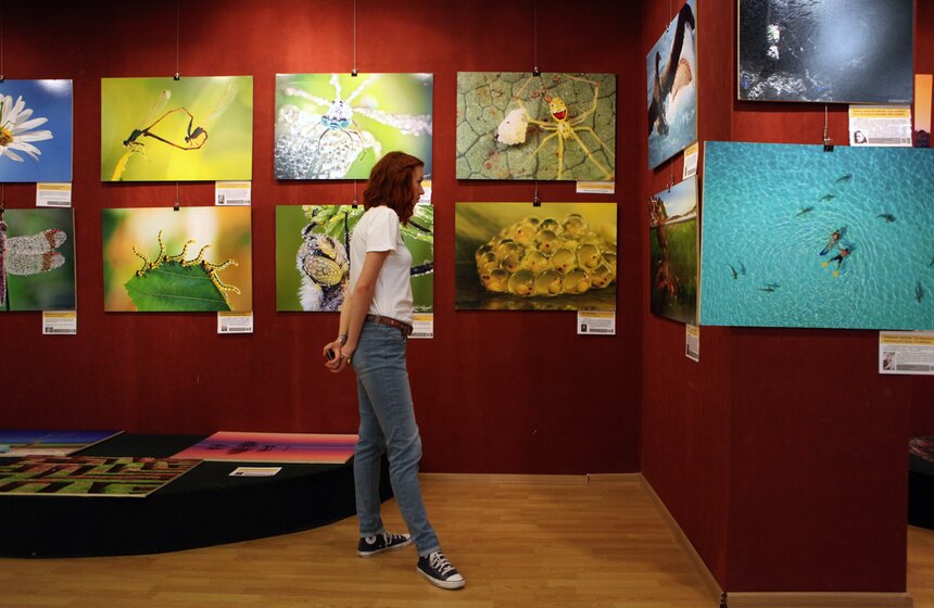 Вторая фотовыставка "100 чудес света" в ВЗ "Тушино" 13 фото