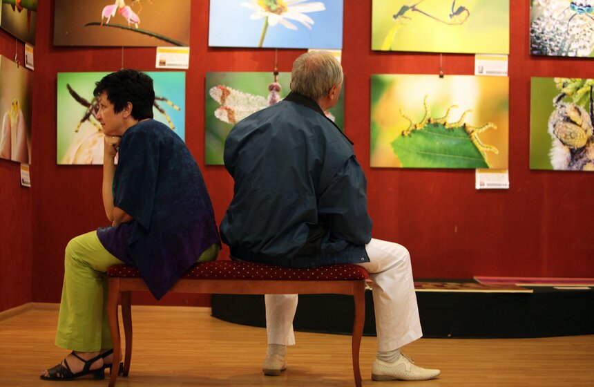 Вторая фотовыставка "100 чудес света" в ВЗ "Тушино" 11 фото