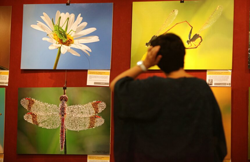 Вторая фотовыставка "100 чудес света" в ВЗ "Тушино" 9 фото