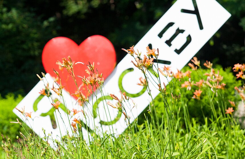 "Цветущий парк": лето в "Филях" 1 фото