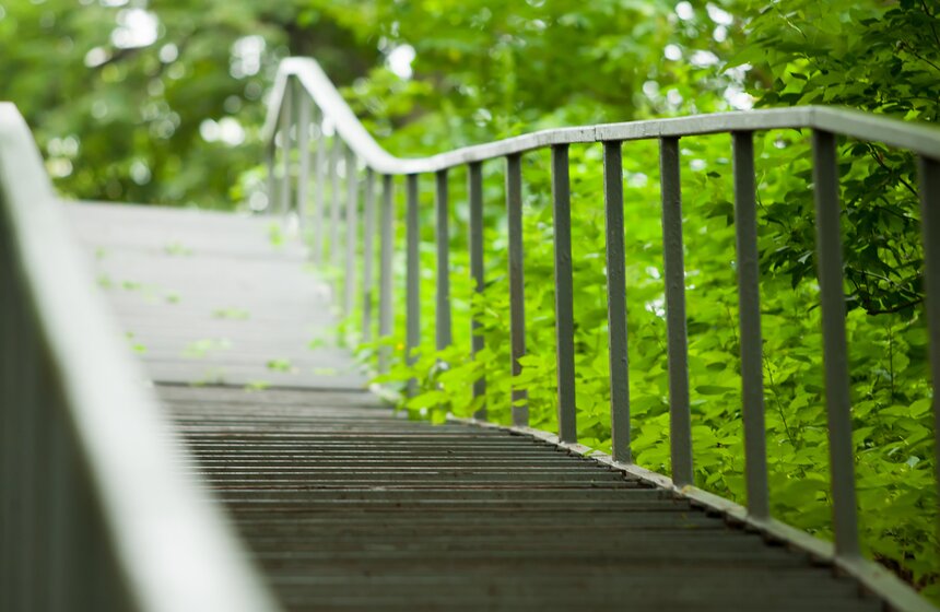 "Цветущий парк": лето в "Филях" 25 фото