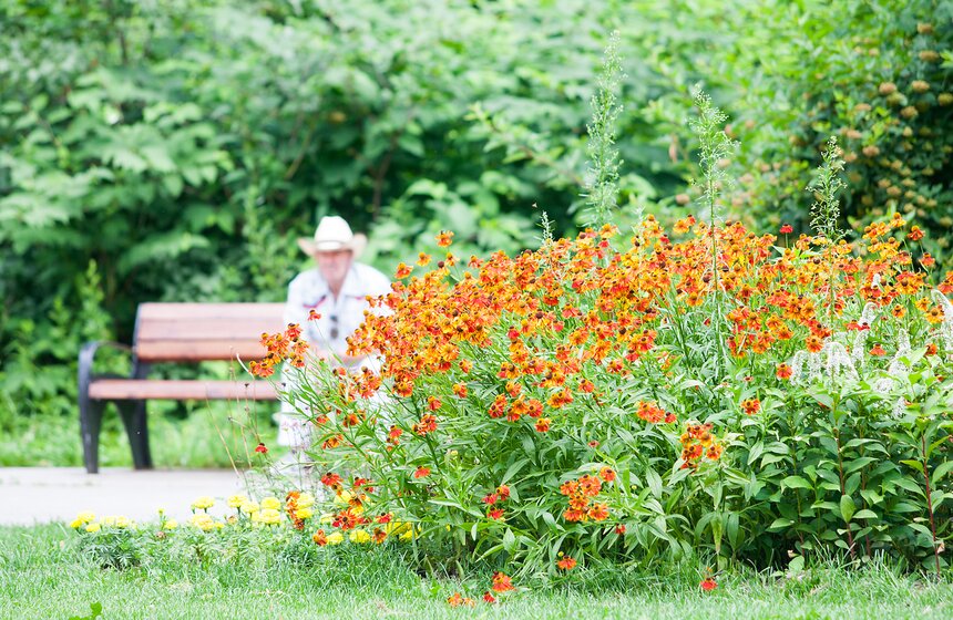 "Цветущий парк": лето в "Филях" 11 фото