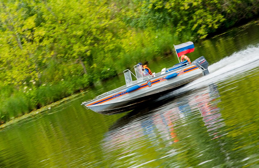 "Цветущий парк": лето в "Филях" 20 фото