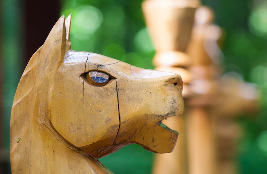 "Цветущий парк": лето в "Филях" 15 фото