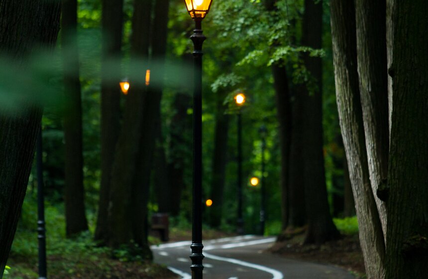 "Цветущий парк": лето в "Филях" 16 фото