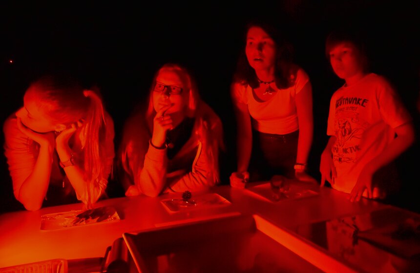 В ГМИИ имени Пушкина прошел квест в честь Дня фотографа 11 фото