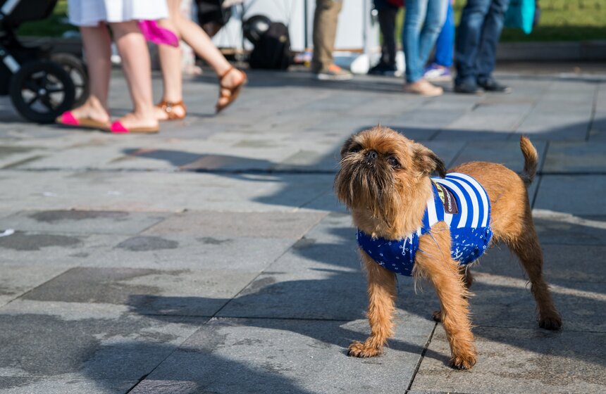 В парке искусств МУЗЕОН прошел фестиваль More Amore 19 фото