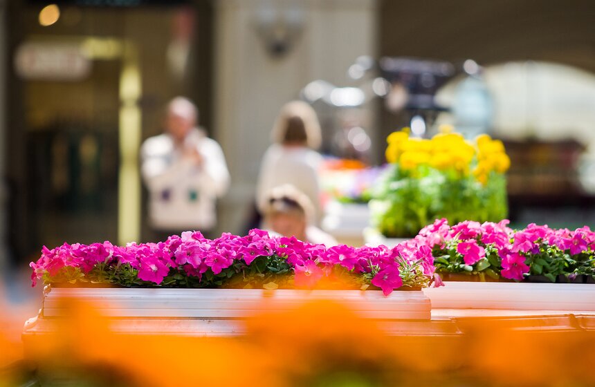В ГУМе открылся фестиваль цветов 4 фото
