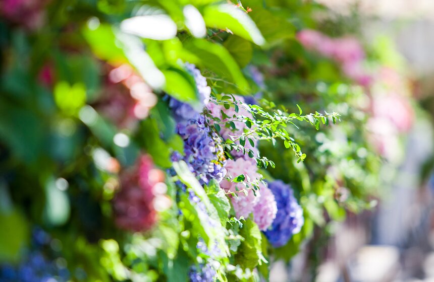 В ГУМе открылся фестиваль цветов 7 фото