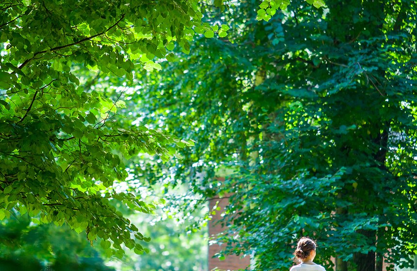 "Цветущий парк": лето в Воронцовском парке 6 фото