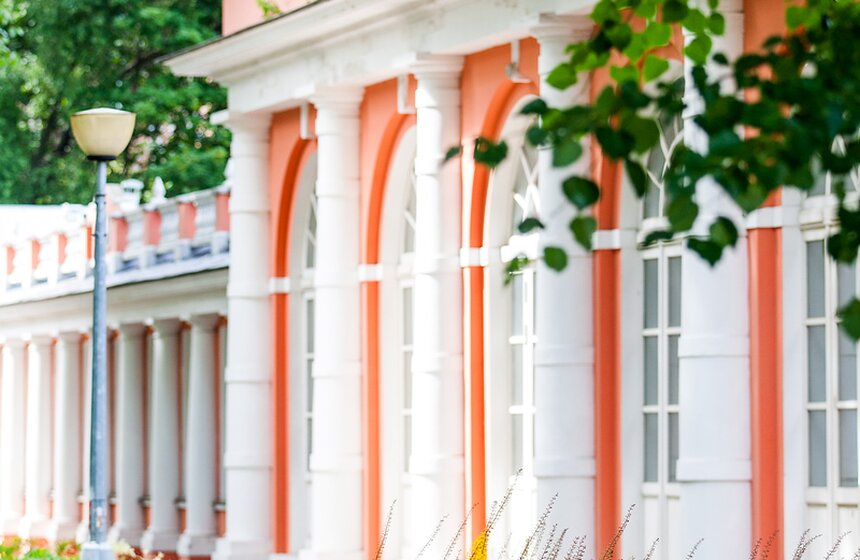 "Цветущий парк": лето в Воронцовском парке 8 фото