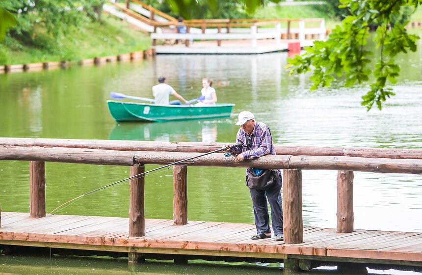 "Цветущий парк": лето в Воронцовском парке 19 фото