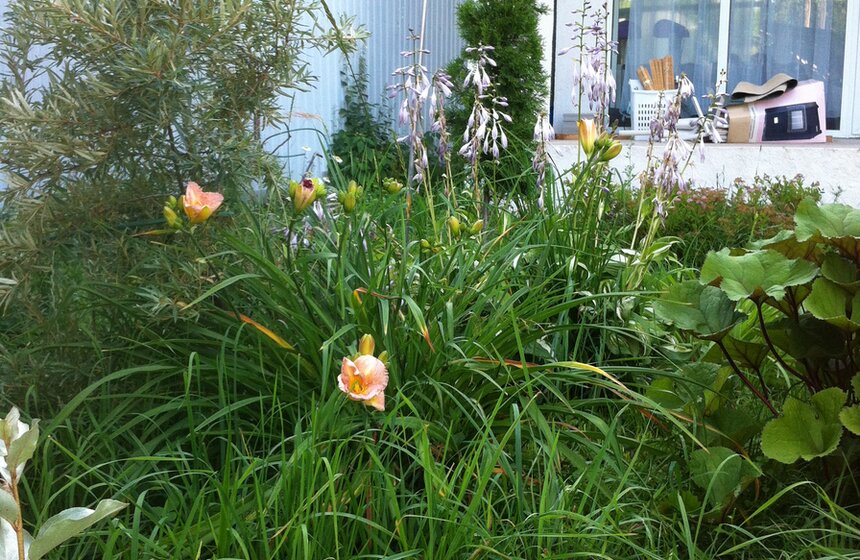 Участок зрительницы "Москвы 24" в Клинском районе. "Дом строим своими силами. Провели автономно все коммуникации и солнечные батареи", - рассказывает она.