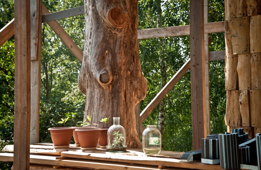 В деревне Звизжи пройдет фестиваль "Архстояние" 7 фото