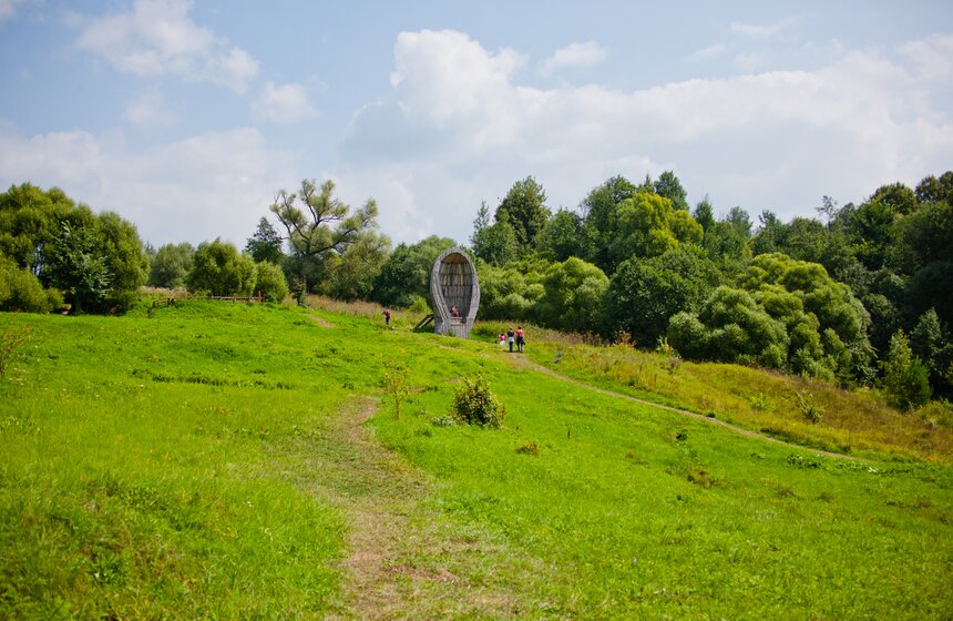 В деревне Звизжи пройдет фестиваль "Архстояние" 30 фото
