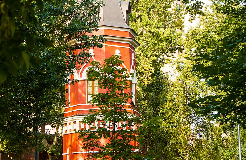 "Цветущий парк": лето в Таганском парке 2 фото