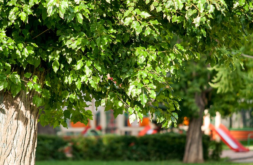 "Цветущий парк": лето в Таганском парке 19 фото