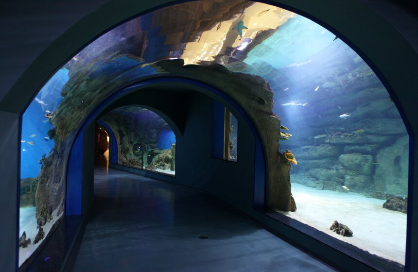 Владимир Путин и Сергей Собянин осмотрели "Москвариум" на ВДНХ 1 фото