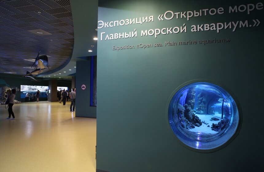 Владимир Путин и Сергей Собянин осмотрели "Москвариум" на ВДНХ 3 фото