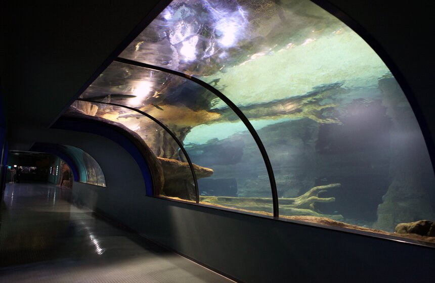 Владимир Путин и Сергей Собянин осмотрели "Москвариум" на ВДНХ 10 фото