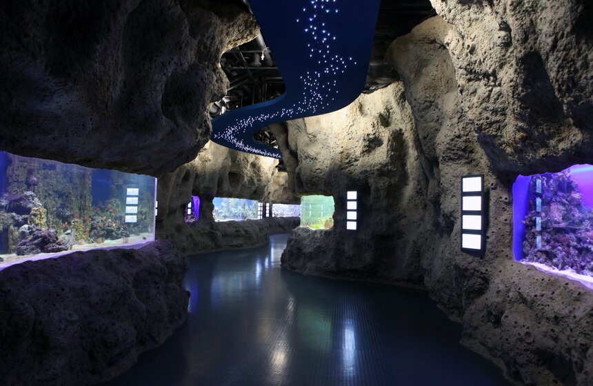 Владимир Путин и Сергей Собянин осмотрели "Москвариум" на ВДНХ 9 фото