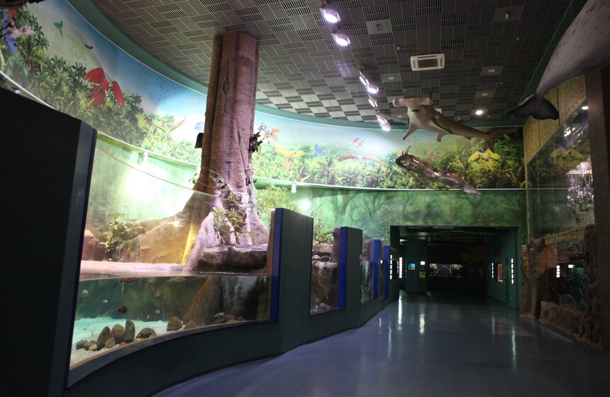 Владимир Путин и Сергей Собянин осмотрели "Москвариум" на ВДНХ 12 фото