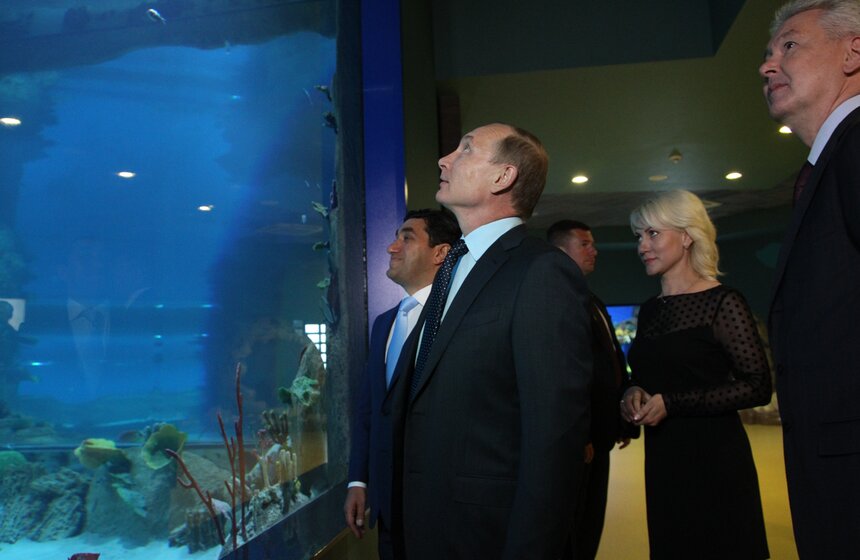 Владимир Путин и Сергей Собянин осмотрели "Москвариум" на ВДНХ 21 фото