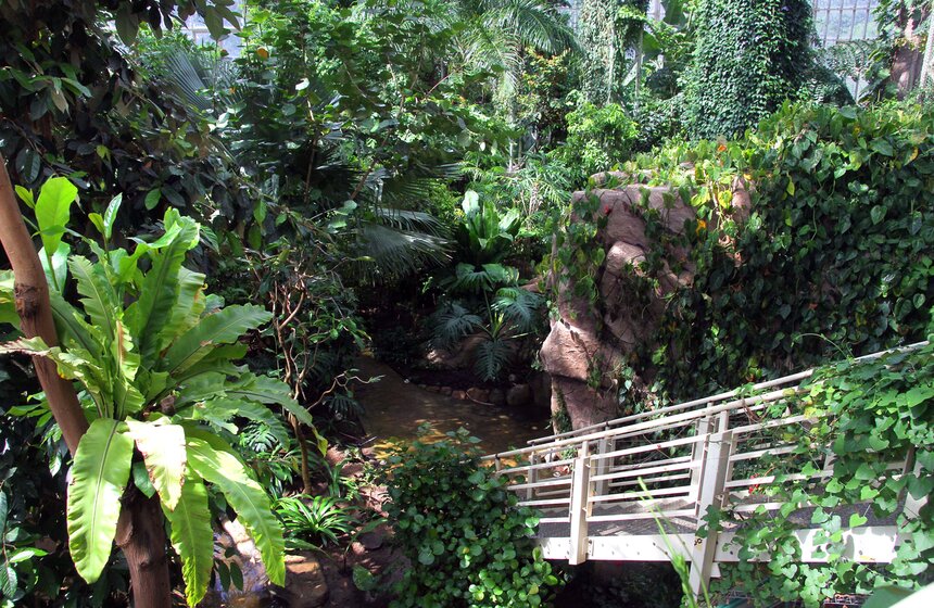 Мэр осмотрел новое здание оранжереи ботанического сада РАН 14 фото