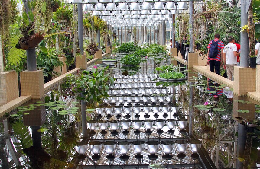 Мэр осмотрел новое здание оранжереи ботанического сада РАН 16 фото