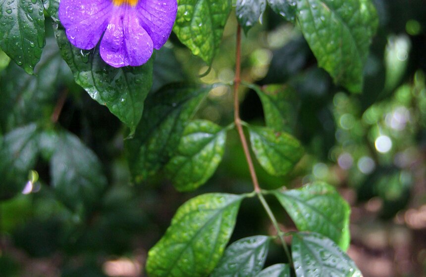 Мэр осмотрел новое здание оранжереи ботанического сада РАН 4 фото