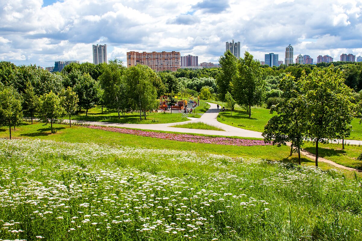 Парк 50 летия октября фото