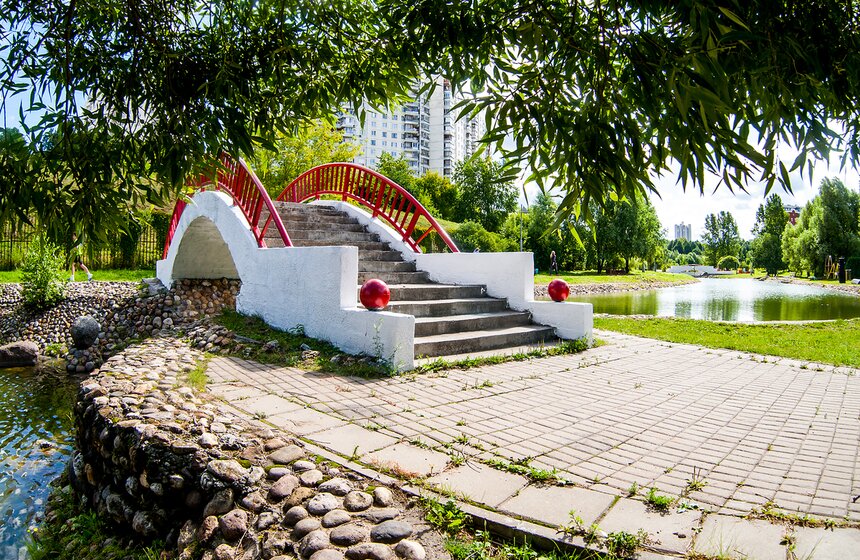 "Цветущий парк": лето в парке 50-летия Октября 6 фото