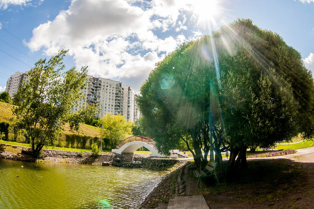 Погода солнечный тверская. Хорошая погода в городе. Солнечная погода в Москве. Солнечная погода в парке. Хорошая погода в городе Солнечная.