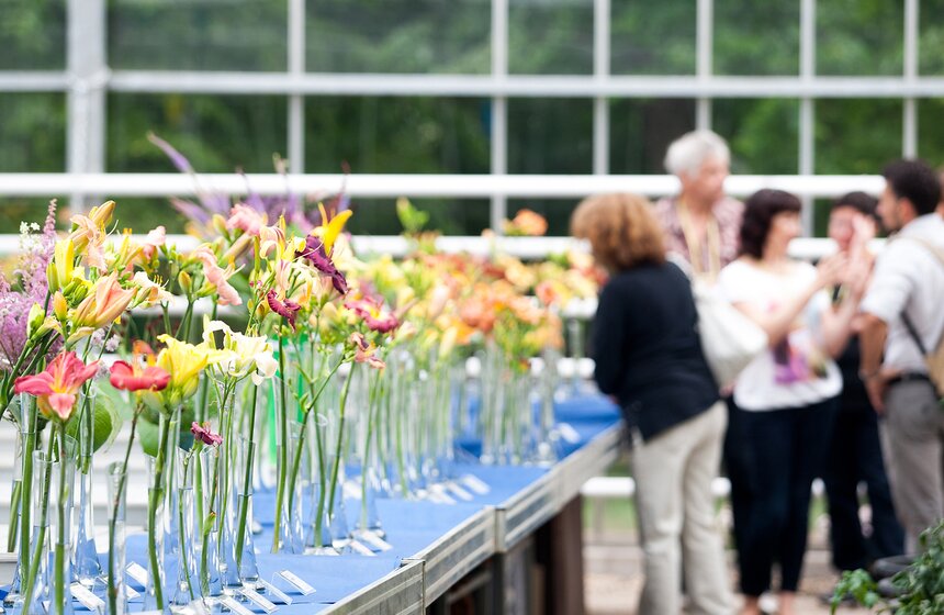 В "Аптекарском огороде" открылась выставка лилейников от m24.ru 18 фото