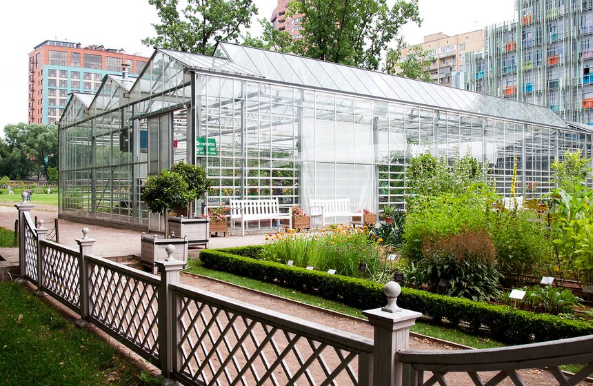 В "Аптекарском огороде" открылась выставка лилейников от m24.ru 21 фото