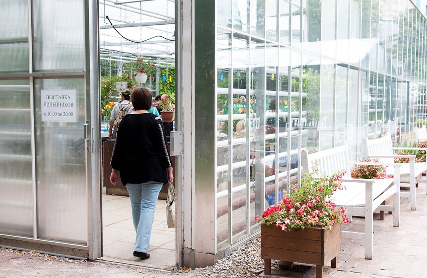 В "Аптекарском огороде" открылась выставка лилейников от m24.ru 20 фото