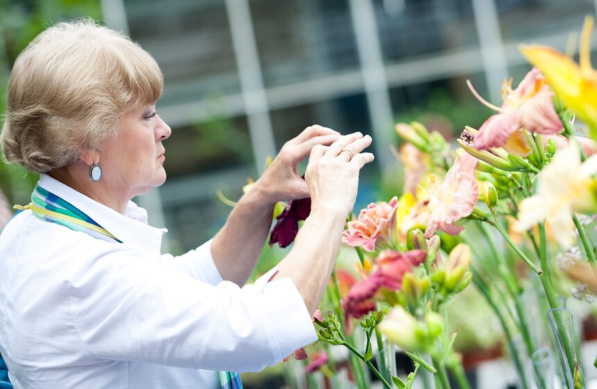 В "Аптекарском огороде" открылась выставка лилейников от m24.ru 10 фото