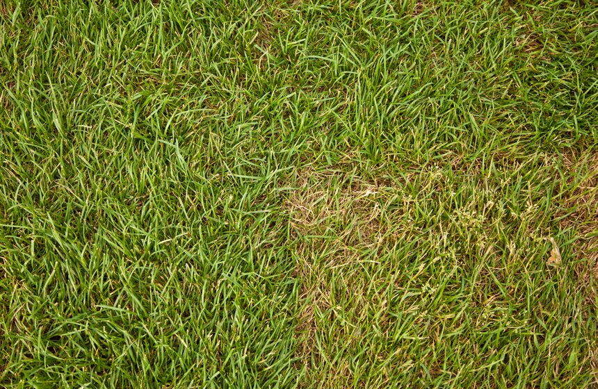 На ВДНХ готовят к открытию пляжную зону 13 фото