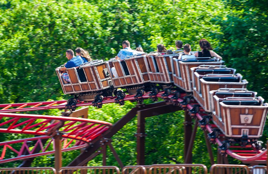 "Цветущий парк": Лето в "Сокольниках" 13 фото