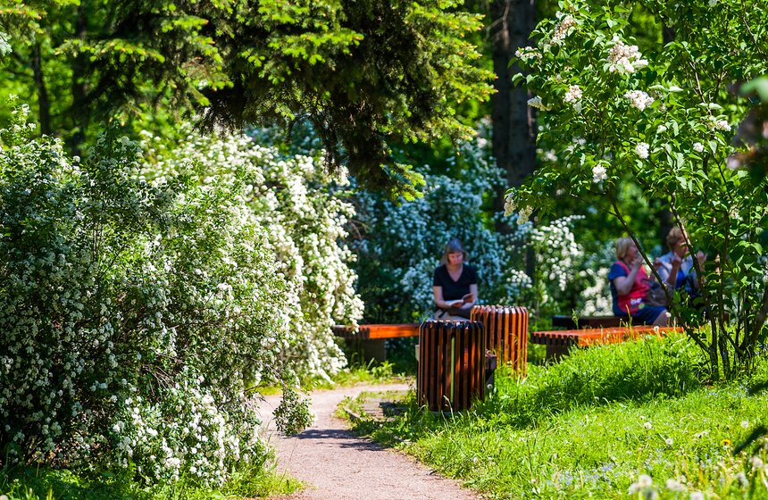 "Цветущий парк": Лето в "Сокольниках" 5 фото