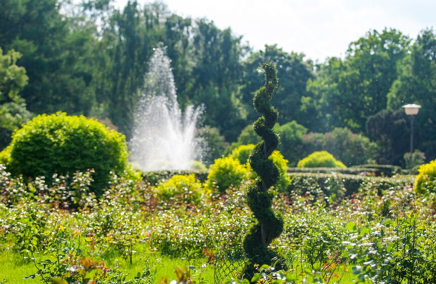 "Цветущий парк": Лето в "Сокольниках" 23 фото