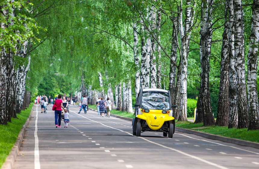 "Цветущий парк": Лето в "Сокольниках" 16 фото