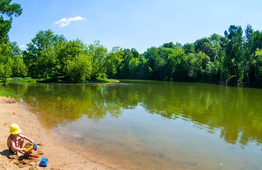 "Цветущий парк": Лето в "Сокольниках" 3 фото
