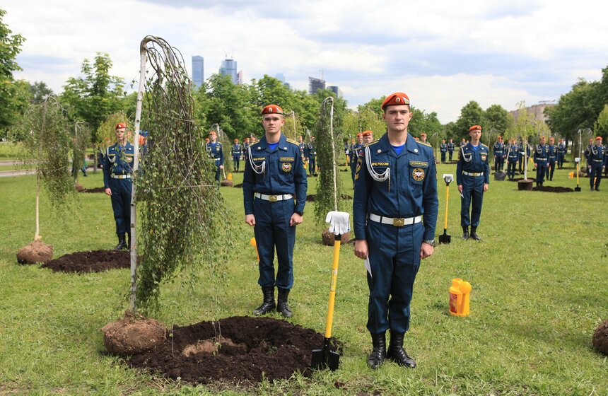 На Поклонной горе заложили березовую рощу Героев 10 фото