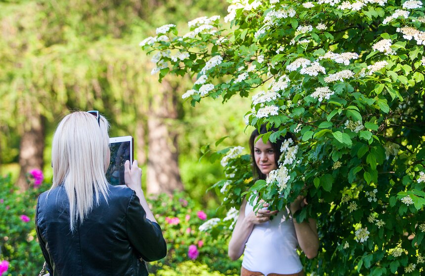 "Цветущий парк": Лето в "Сокольниках" 24 фото